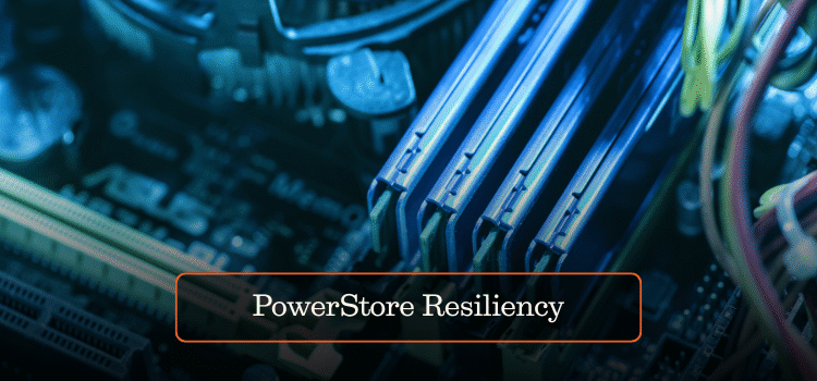 PowerStore Resiliency