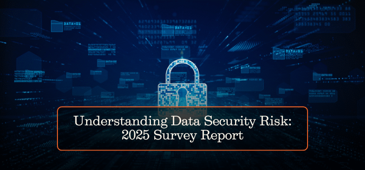 Understanding Data Security Risk: 2025 Survey Report
